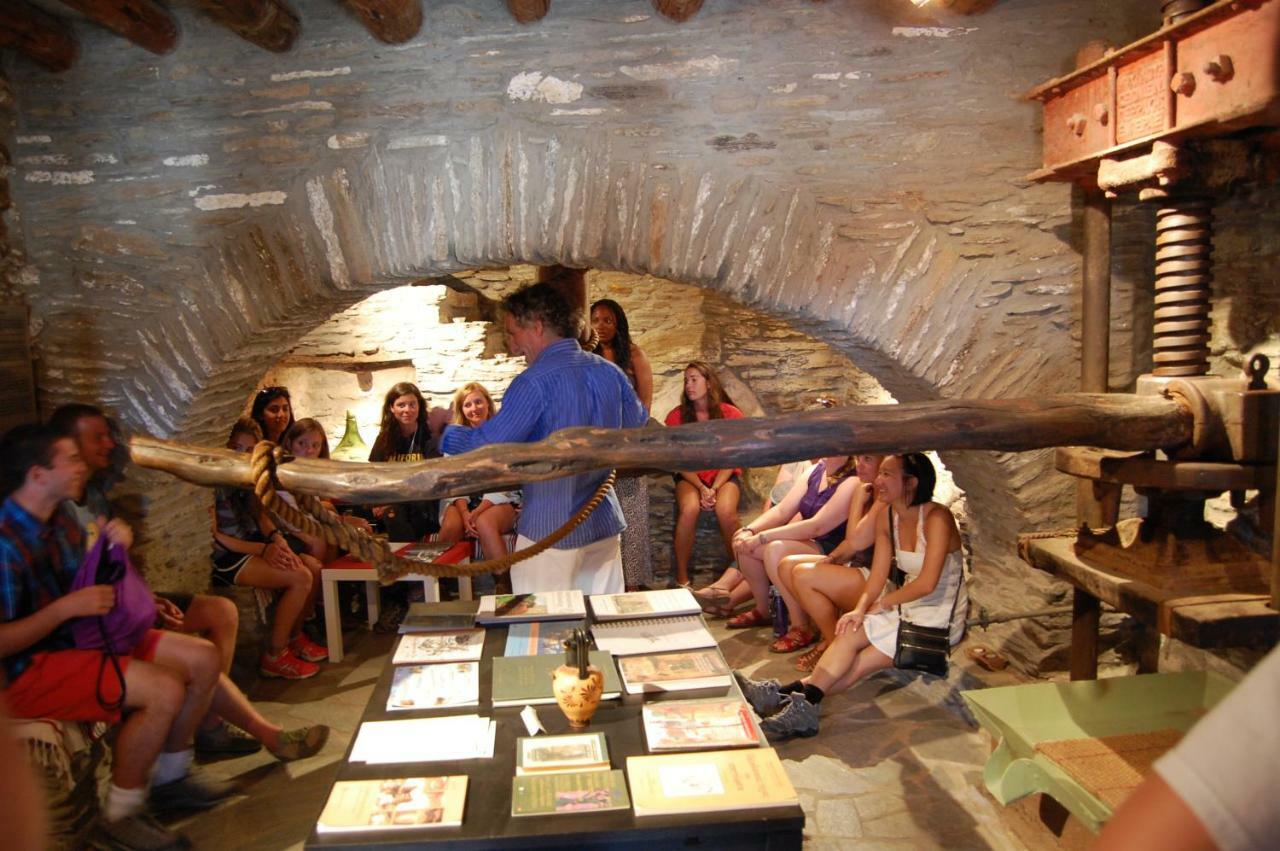 Cyclades Olive Museum'S Guest House Pitrofósz Kültér fotó
