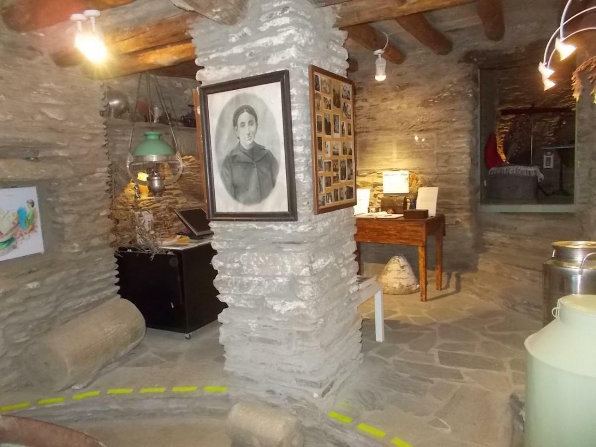 Cyclades Olive Museum'S Guest House Pitrofósz Kültér fotó